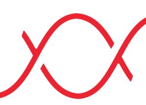 logo adn systemes baseline