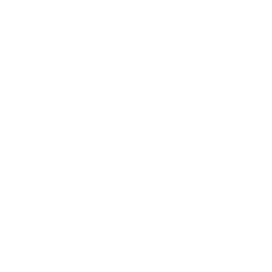Triumph Adler