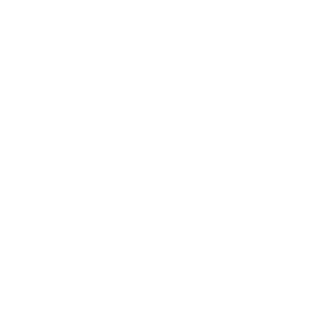 Gigaset Pro