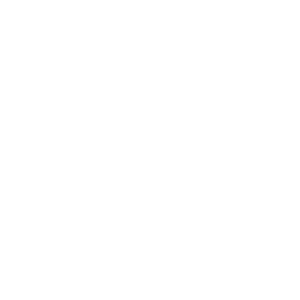 Terra