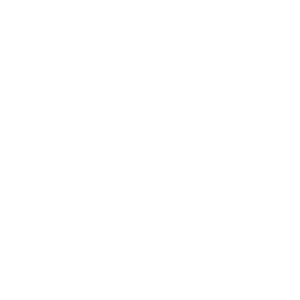 iiyama