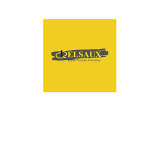 Logo client Delsaux Immobilier